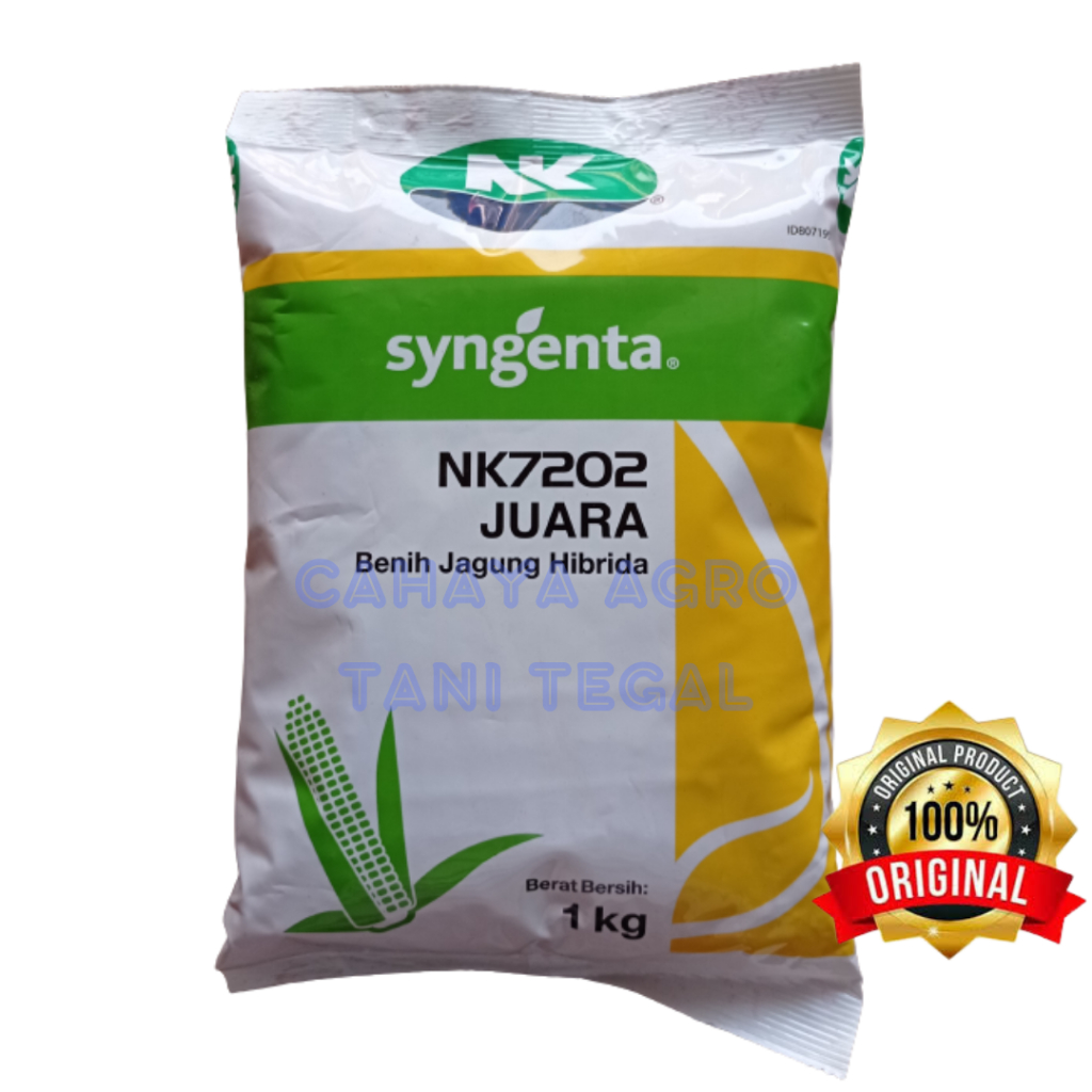 Benih jagung NK 7202/ NK juara 1kg
