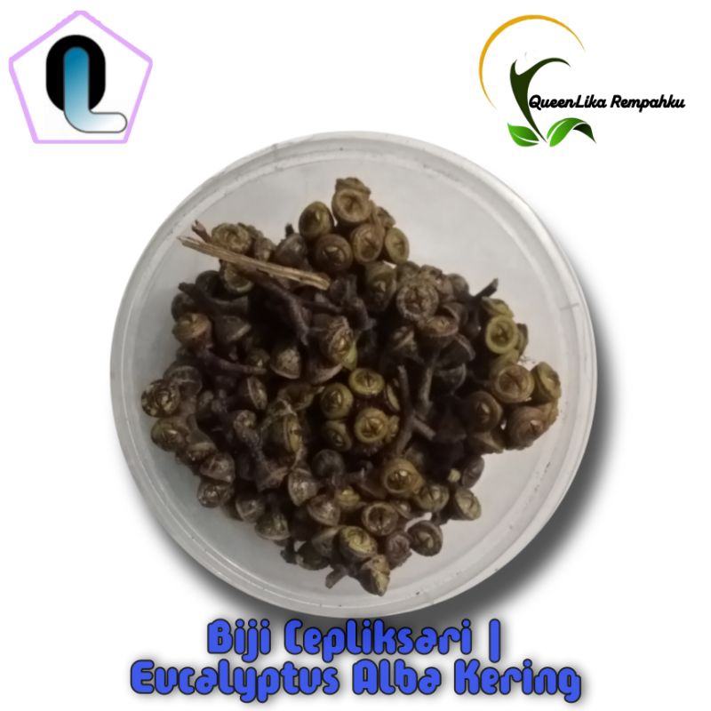 

Biji Cepliksari | Eucalyptus Alba Kering 1kg