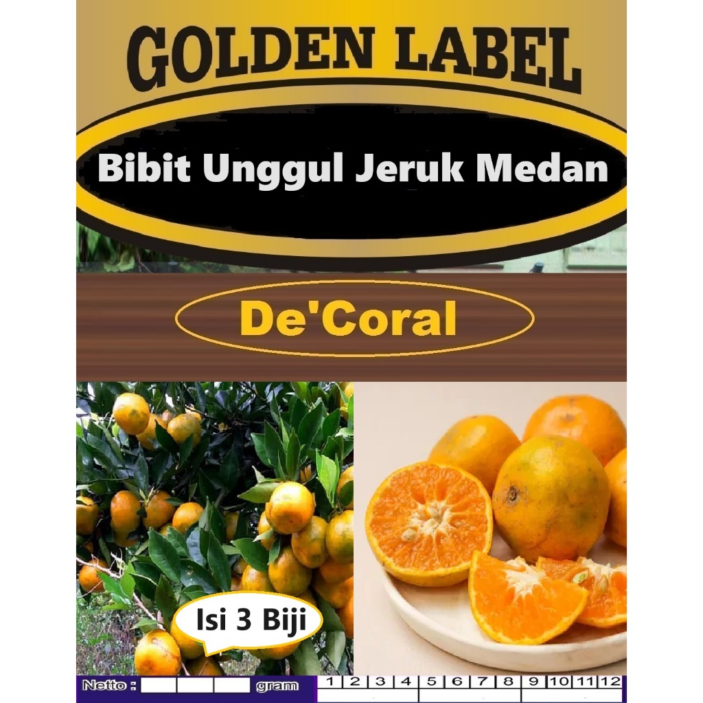 Bibit Unggul Jeruk Medan|Biji Bibit Jeruk Medan|Biji Benih Jeruk Medan