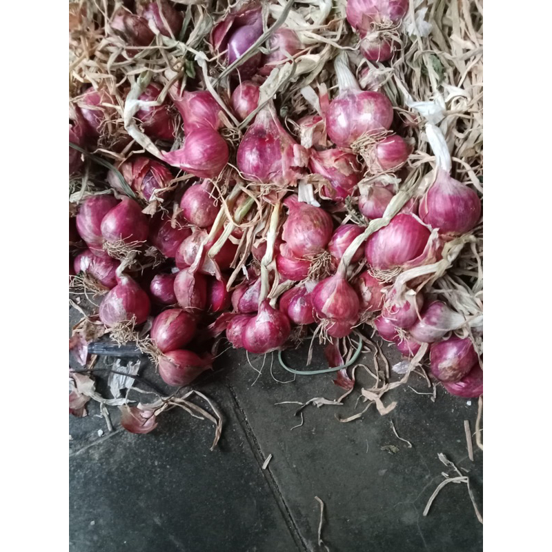 

bawang merah