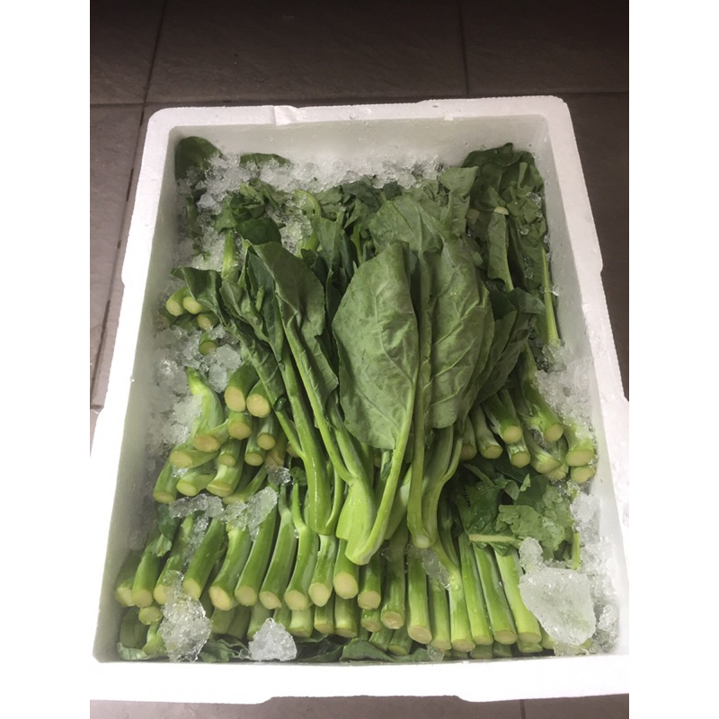 

Sayur Kailan 1 Dus (5.5 KG) Fresh Import