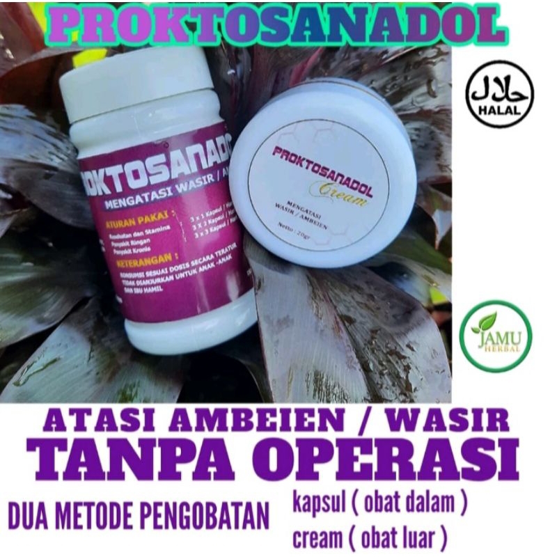 Obat Wasir Ambeien PROKTOSANADOL Salep Cream Obat Luar