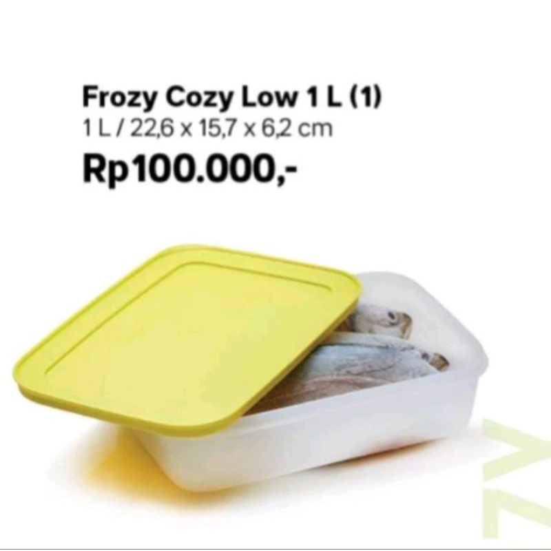 frozy cozy tupperware