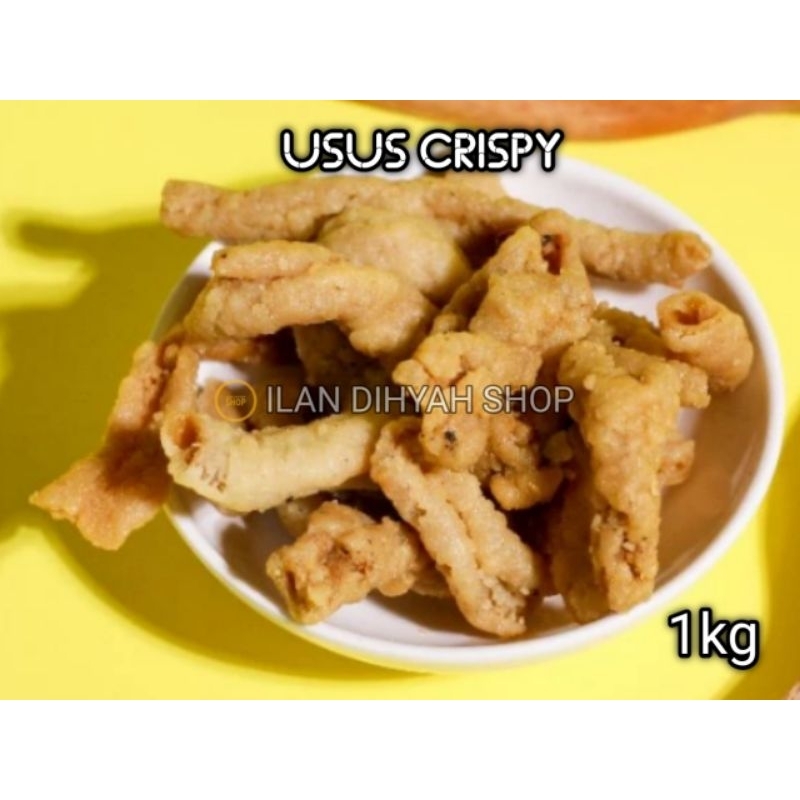 

ILAN DIHYAH SHOP - Keripik Usus Crispy 1kg