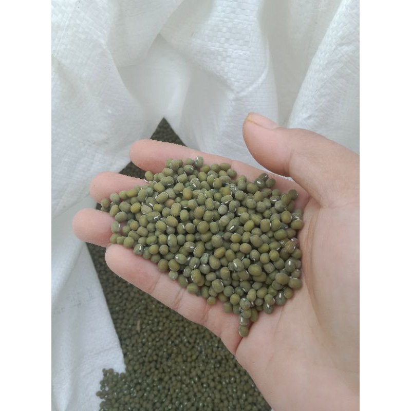 

kacang hijau asli organik 500gram