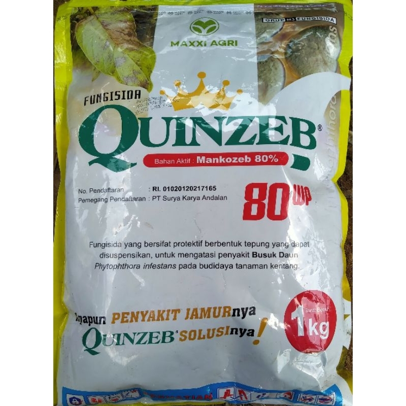 fungisida Quinzeb