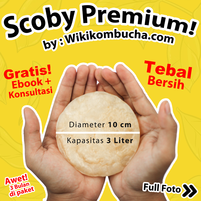 

Jamur Kombucha/Jamur Dipo/Scoby 9cm untuk produksi 3 liter - 100% Asli - Bergaransi