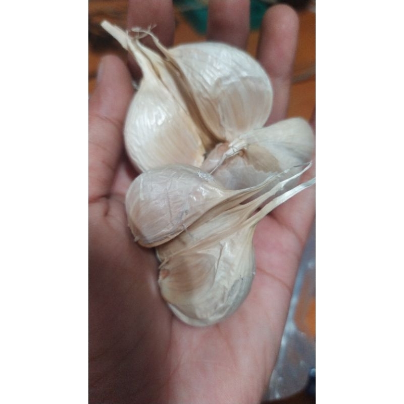 

bawang putih