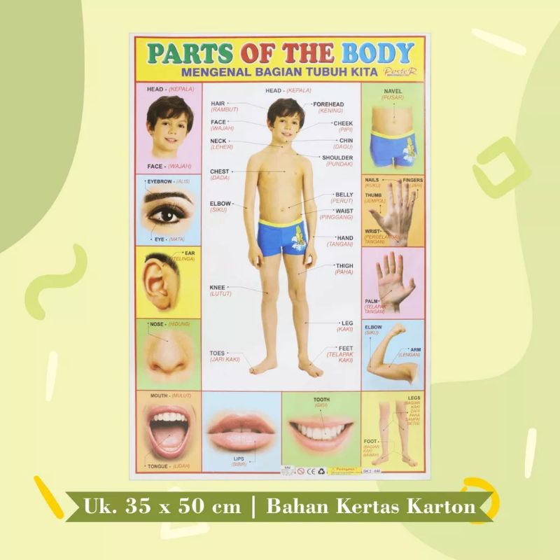 

Poster Edukasi Anak Mengenal Anggota Tubuh
