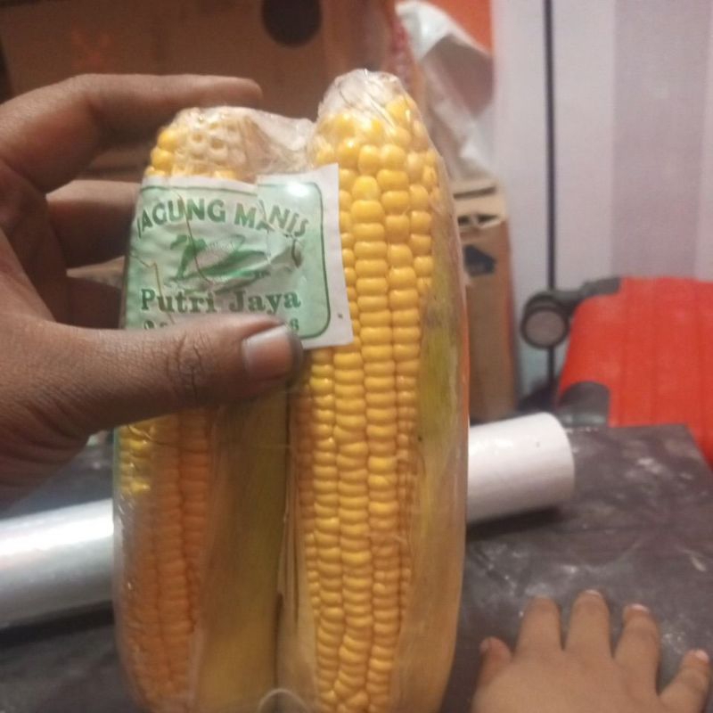 

jagung manis