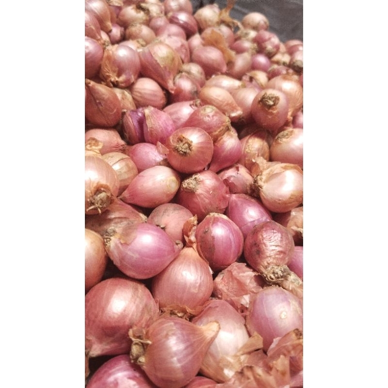 

Bawang merah