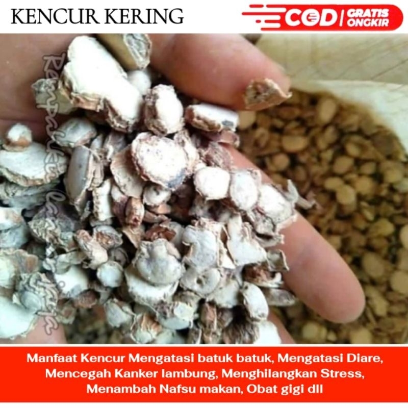 

KENCUR KERING 1KG