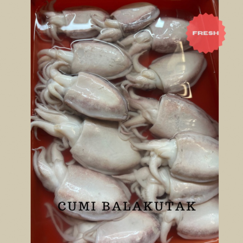 

Cumi Balakutak Seafood Frozen Food Fresh 500 gram