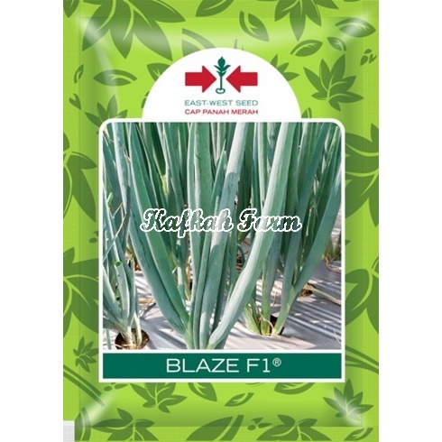 Benih 50 Biji Bawang Daun BLAZE F1