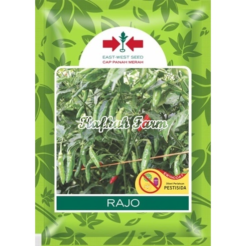 Benih 25 Biji Cabe Rawit RAJO