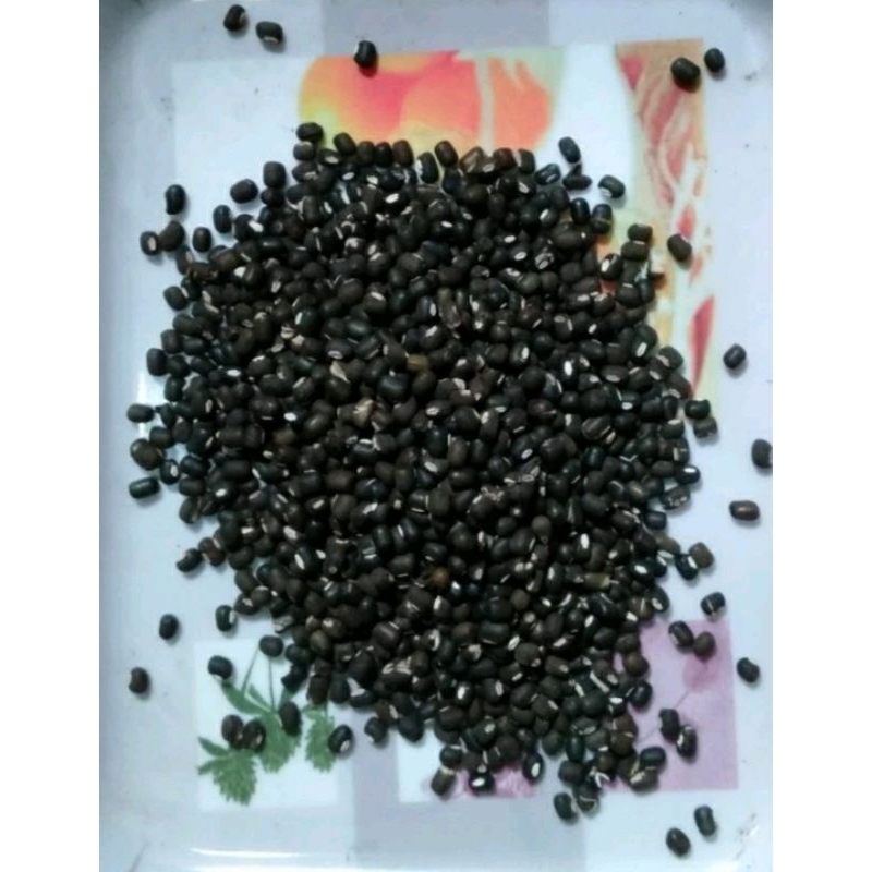 

BLACK URAD WHOLE DAL - KACANG HITAM
