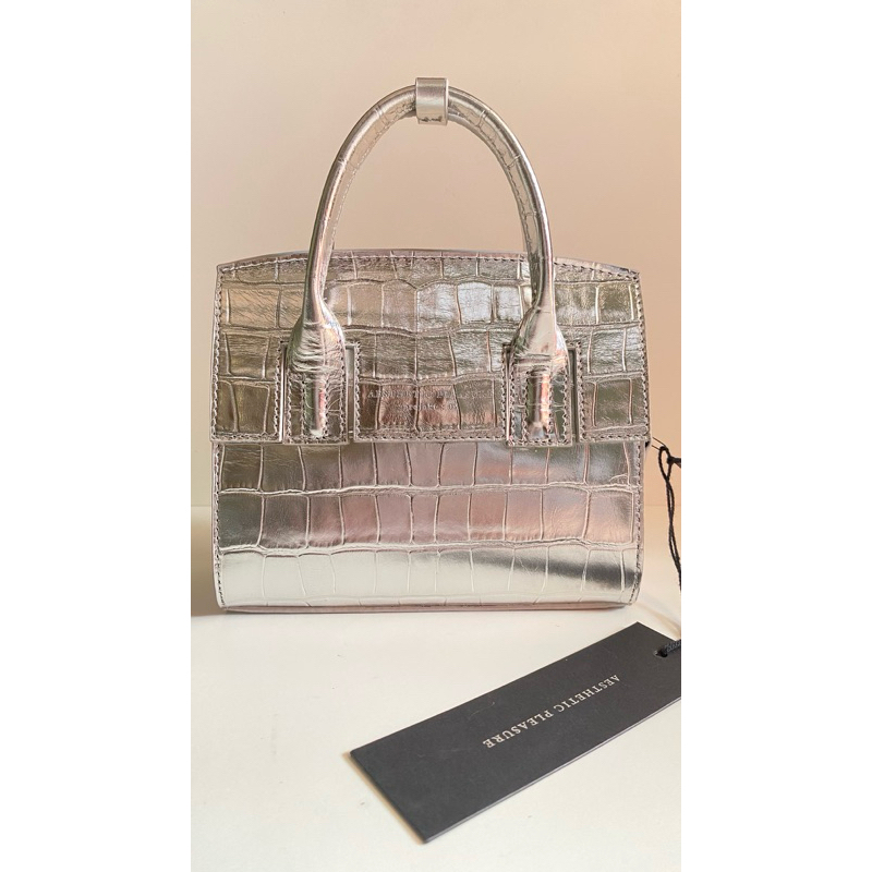 Aesthetic Pleasure Micro Isolation bag in Silver Croco (baca caption)