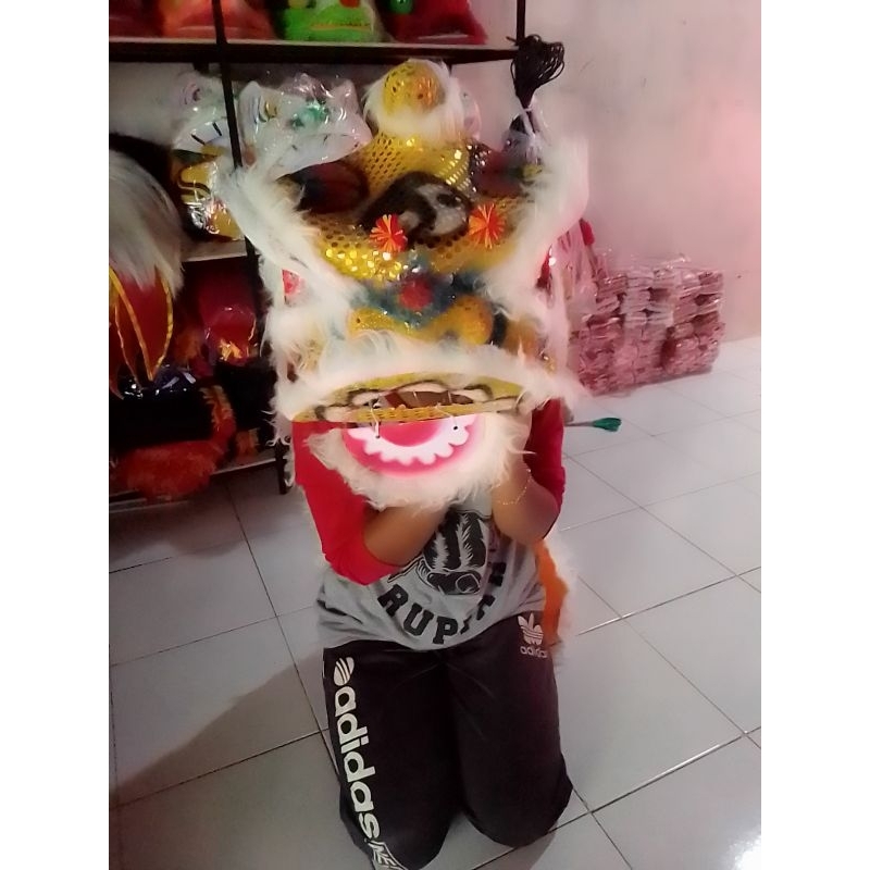 barongsai uk besar pake lampu,mata nyala, barongsai