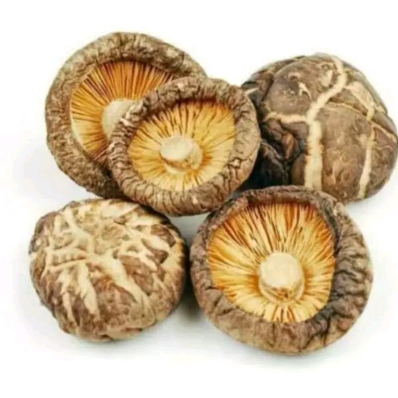 

Jamur Shitake/ Jamur Payung ukuran kecil 3 - 4 cm (100 gram)