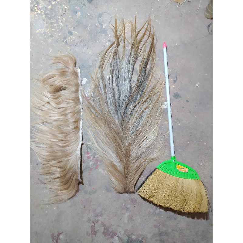 Ekor kuda + suri dawuk