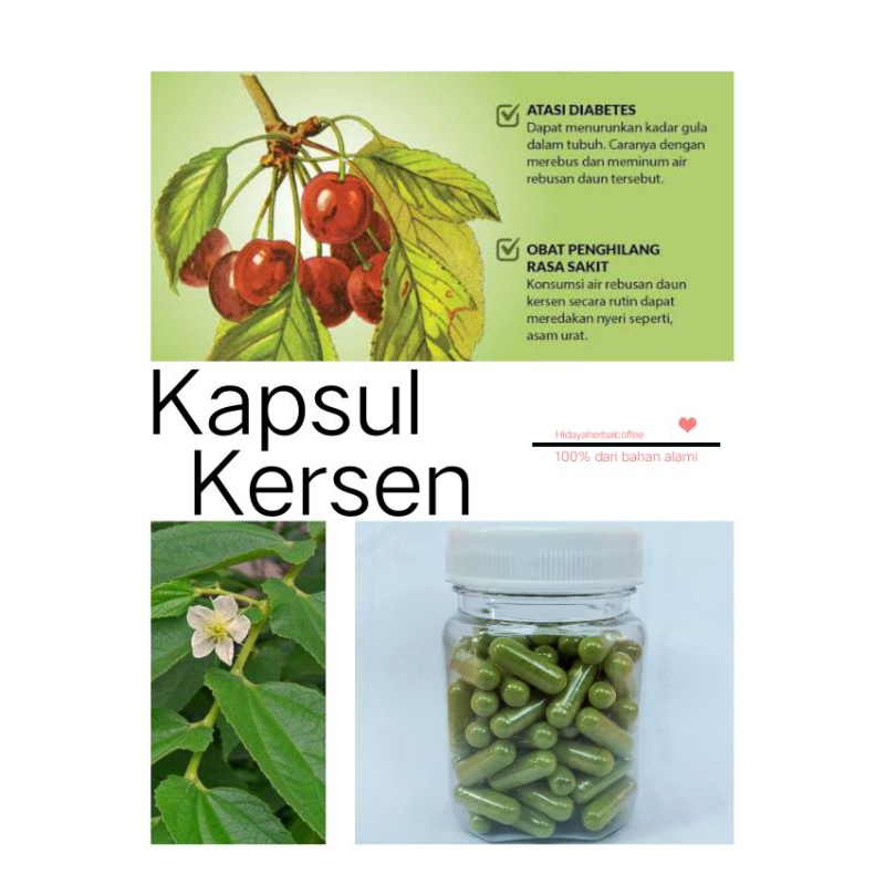 

Kapsul Daun Kersen Atasi Diabetes Kolsterol 100pcs