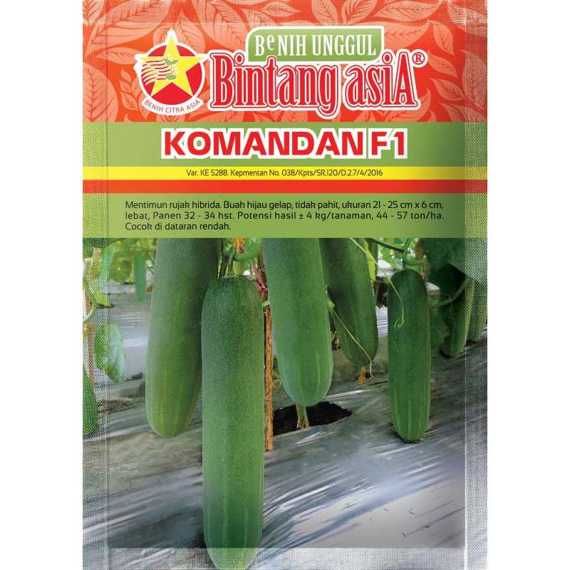 Benih Bibit Timun Komandan F1 20gr / BCA / Timun Lalap