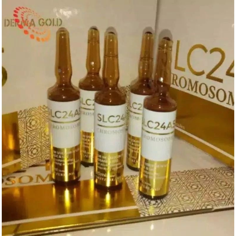 BOX SLC24A5 GOLD ORIGINAL ECER | CHROMOSOME