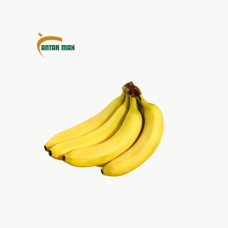 

Pisang Cavendis 500g