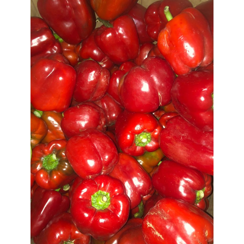 

Paprika Merah 500 gram