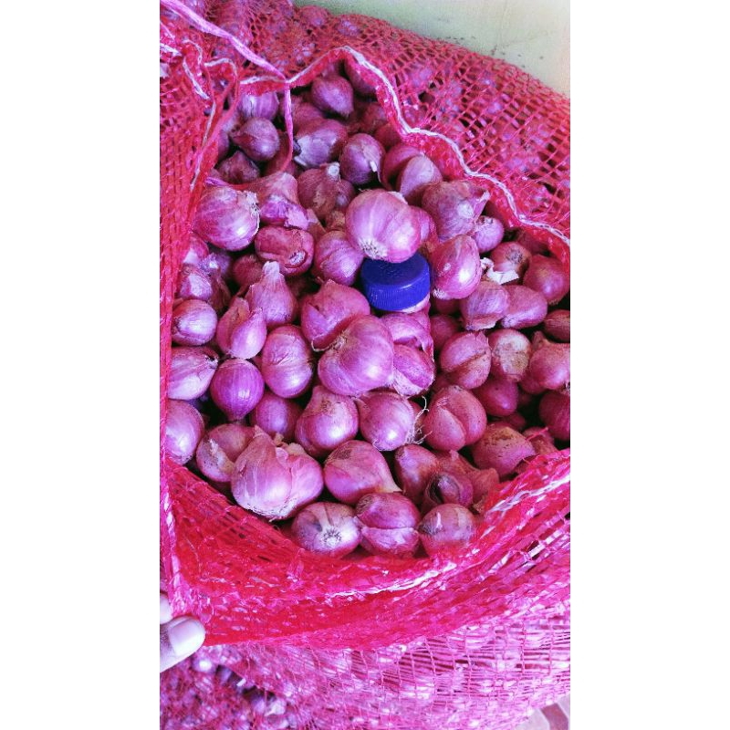 

Bawang merah 500gr