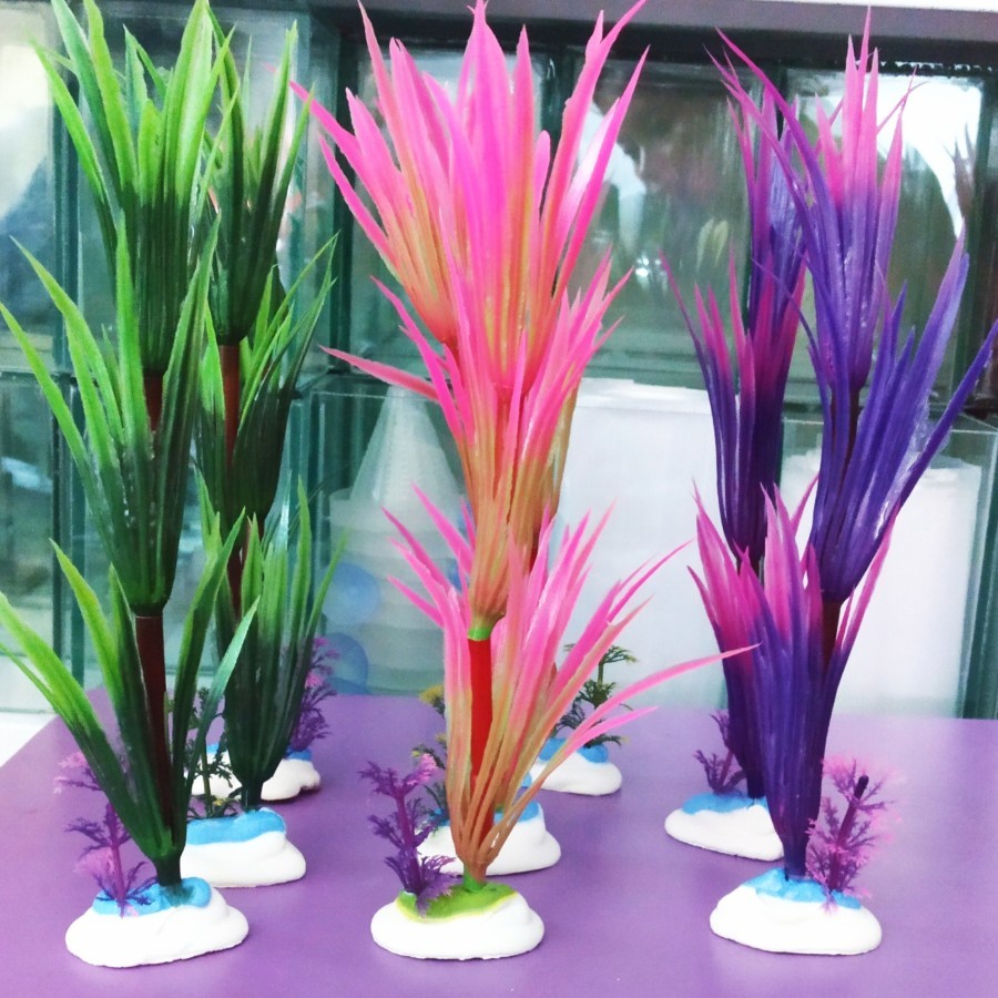 Hiasan aquarium rumput ilalang panjang, rumput ilalang panjang, dekorasi aquarium rumput ilalang pan