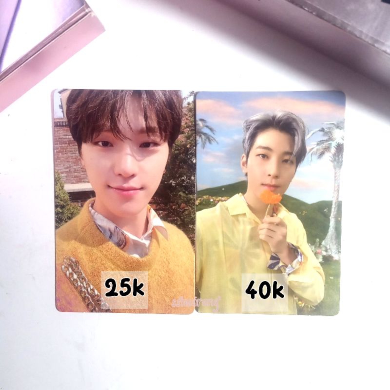 sector17 wonwoo compact dino weverse