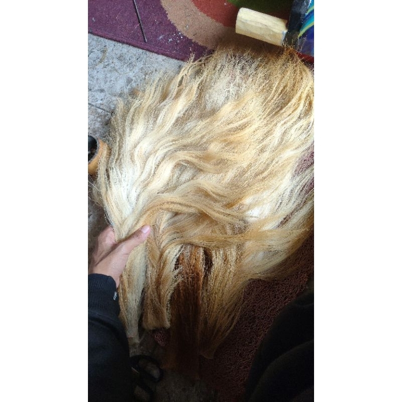 [SUPER] Ekor Sapi/Buntut Sapi Warna Putih