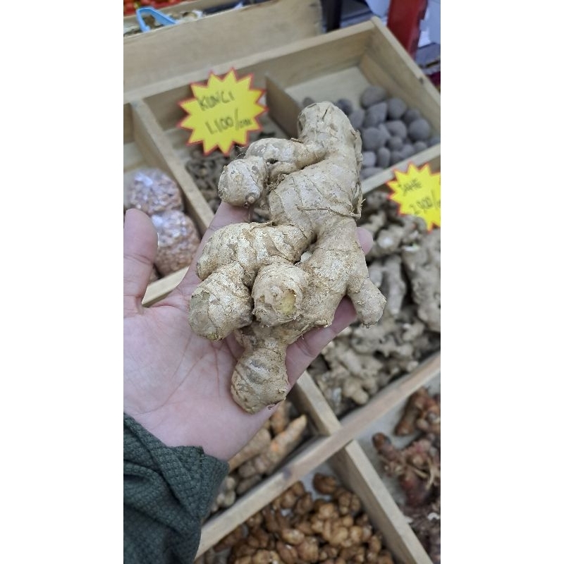 

JAHE 500 GR