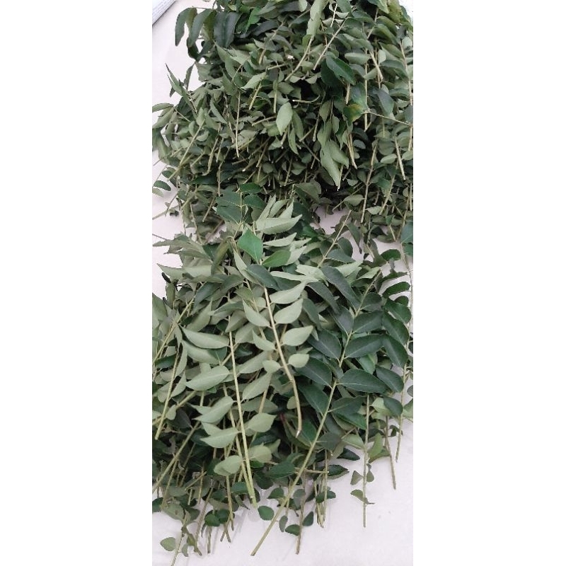

Daun Kari Per 20 Tangkai