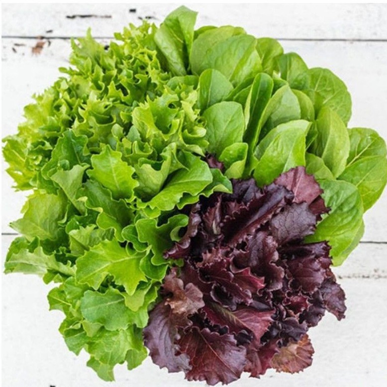 

Mix Lettuce Selada (4-6 porsi)- 500 gram