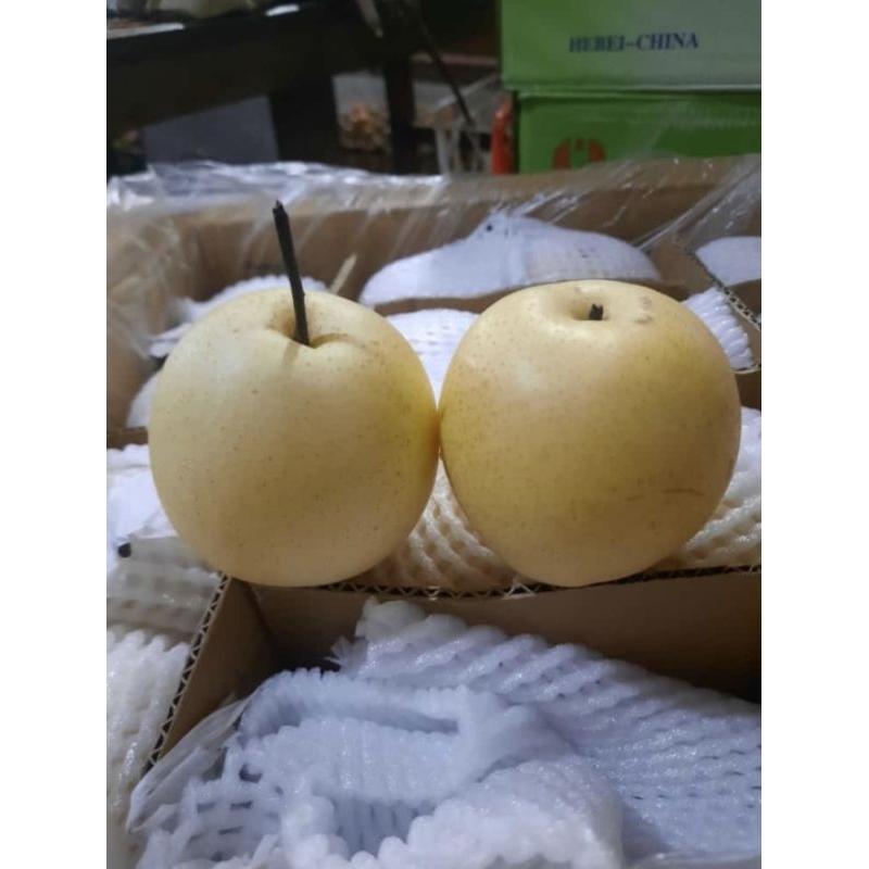 

Buah Pear/pir Century manis 1kg