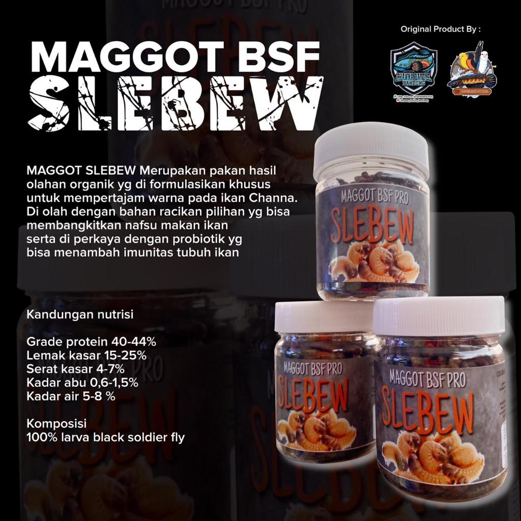 MAGGOT SLEBEW (AURANTI & MARU) by Kamarsato Official x ChannaBattle (ORIGINAL)