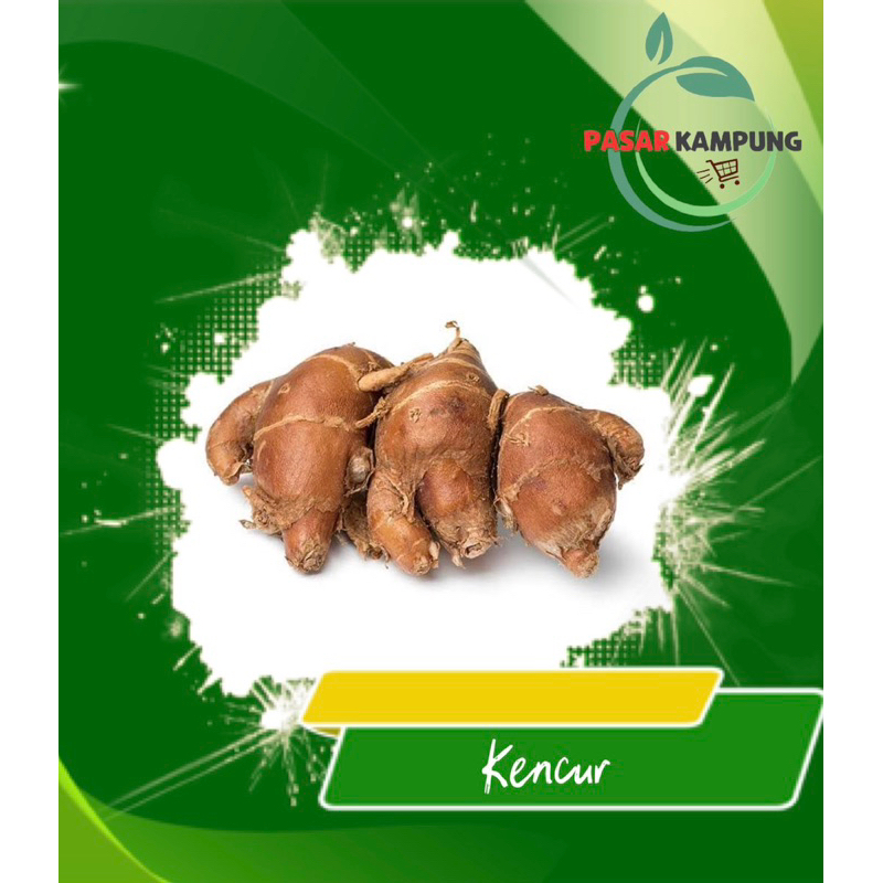 

Kencur [mohon baca deskripsi produk]