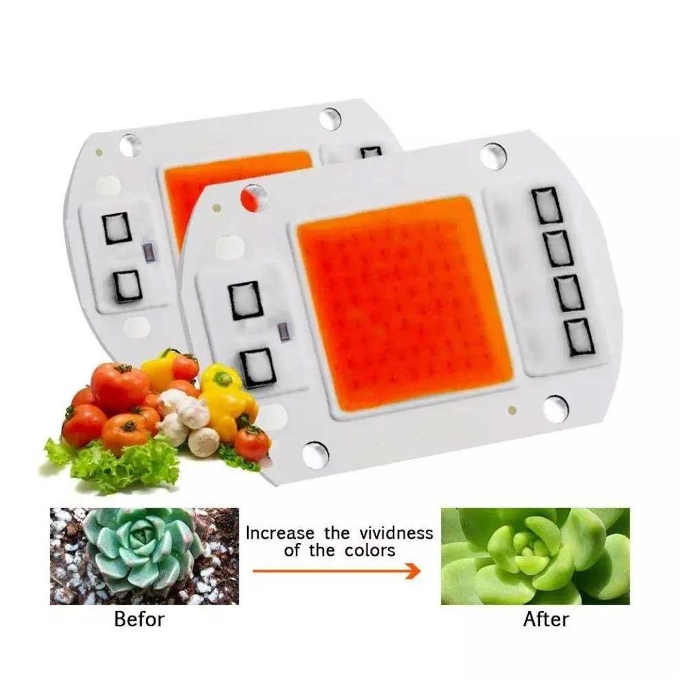 50W AC 220V Lampu Led COB Driverless High Power Chip