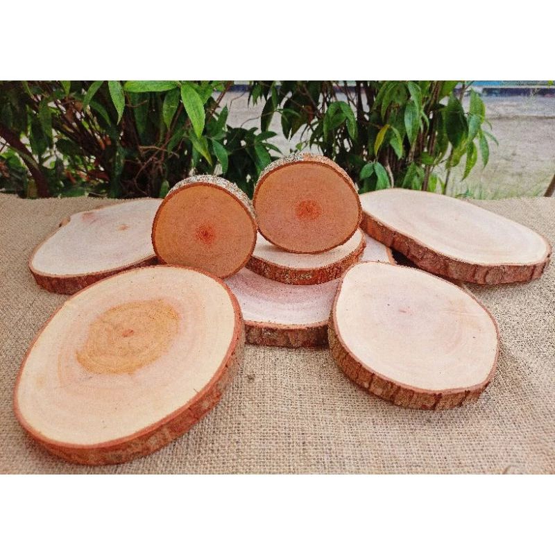 WOOD SLICE TATAKAN KAYU BULAT BESAR 20 cm.an