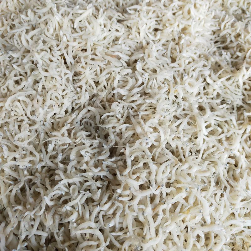 

Ikan Teri Nasi / Teri Medan Kualitas Super Khas Ujung Kulon. 500 Gram