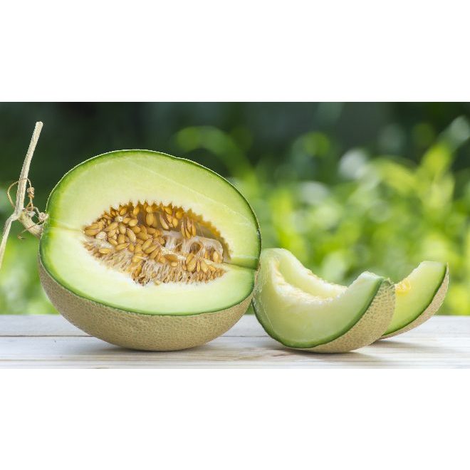 

BUAH MELON