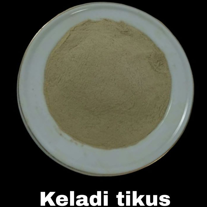 

Powder keladi tikus 1kg