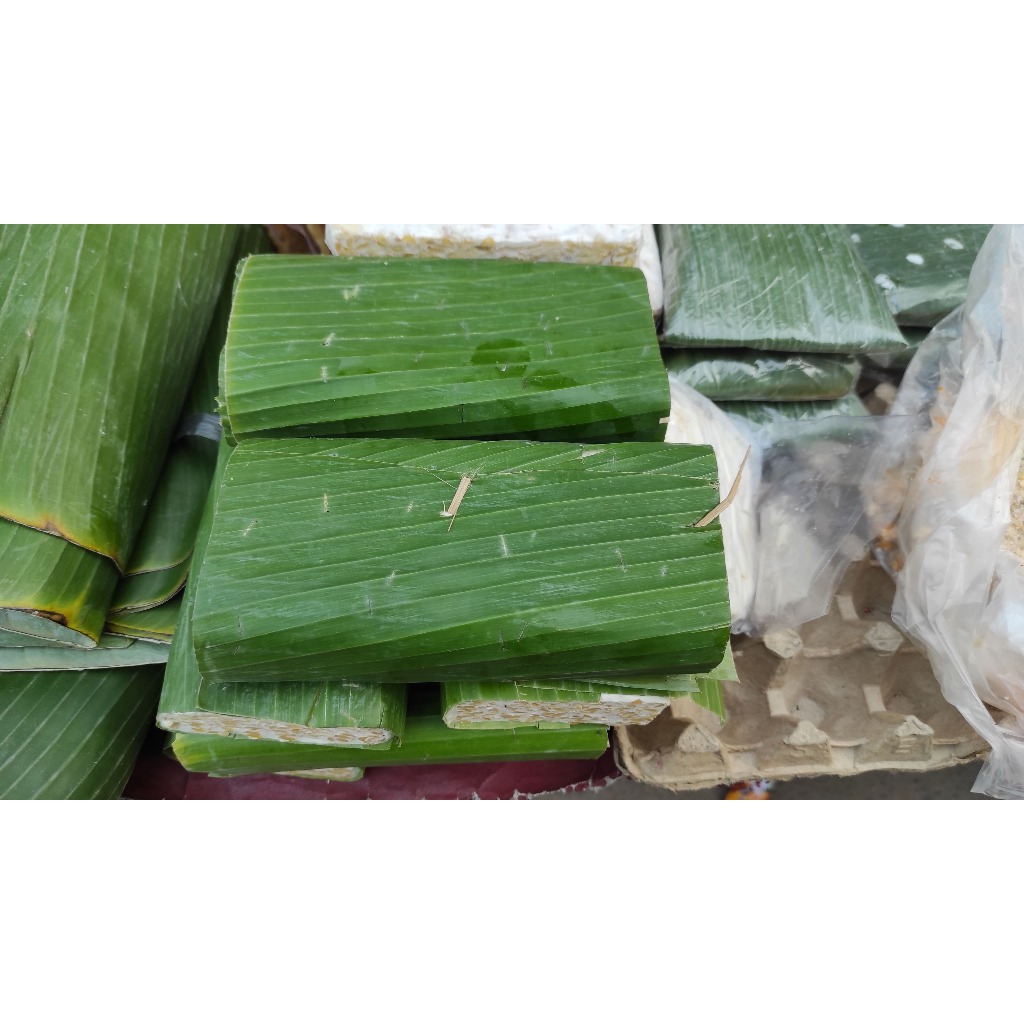

TEMPE DAUN