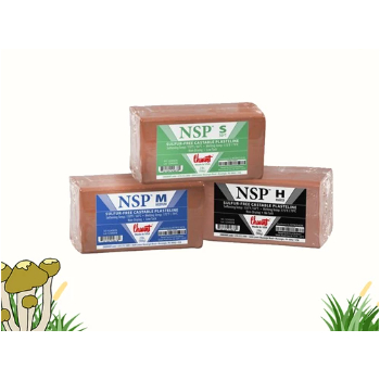 

PERALATAN MELUKIS CHAVANT CLAY NSP GREEN 2LB ALAT LUKIS