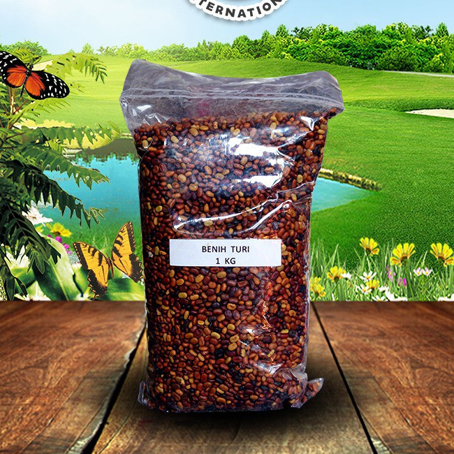 Benih Turi 1 Kg - Star Farm