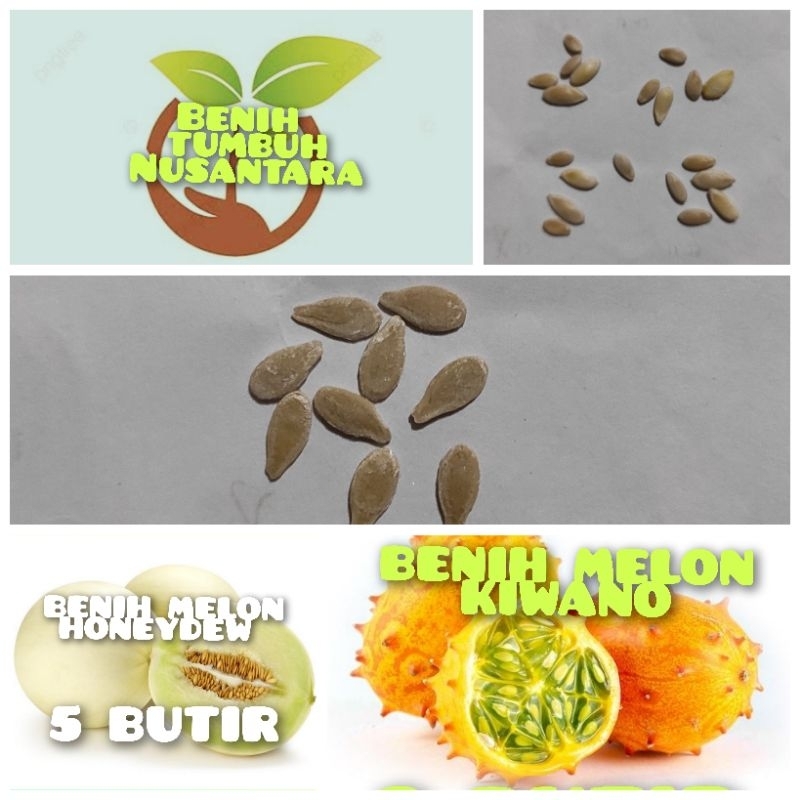BENIH BUAH MELON MADU PUTIH HONEYDEW DAN MELON TANDUK KIWANO