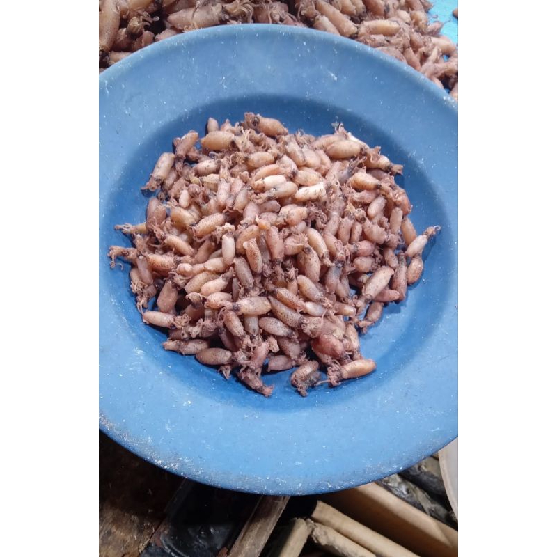 

BABY CUMI Kering grade A - 500gr