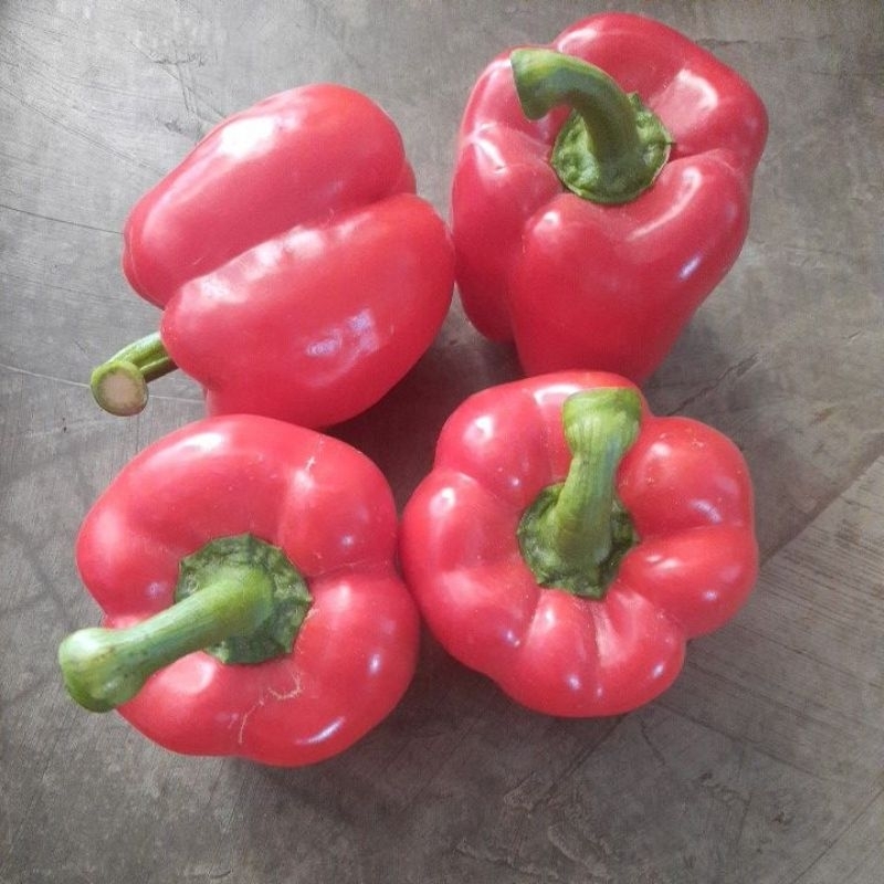 

paprika merah 1kg